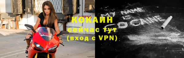 шишки Гусев
