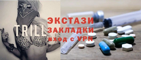 индика Гусиноозёрск