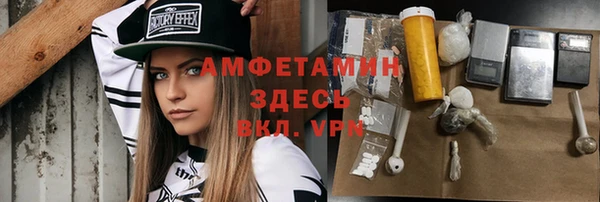 шишки Гусев