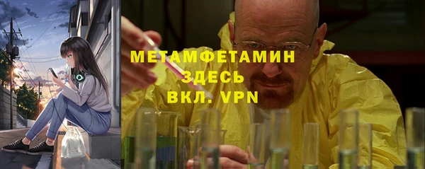шишки Гусев