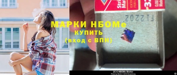 сатива Гусь-Хрустальный