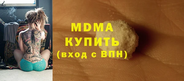 индика Гусиноозёрск