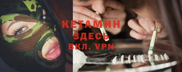 шишки Гусев