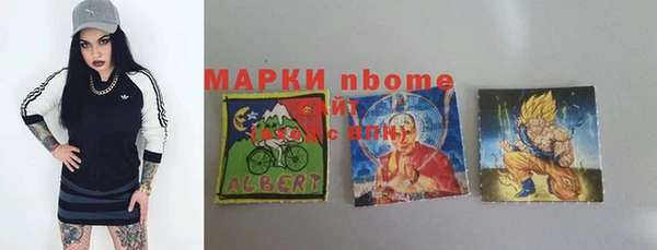 сатива Гусь-Хрустальный
