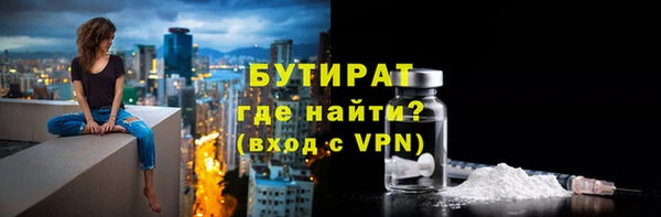 индика Гусиноозёрск