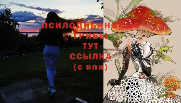 сатива Гусь-Хрустальный