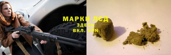 сатива Гусь-Хрустальный