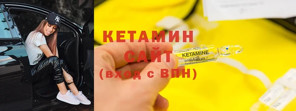 сатива Гусь-Хрустальный