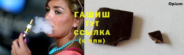 шишки Гусев