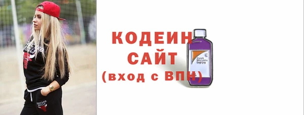 шишки Гусев