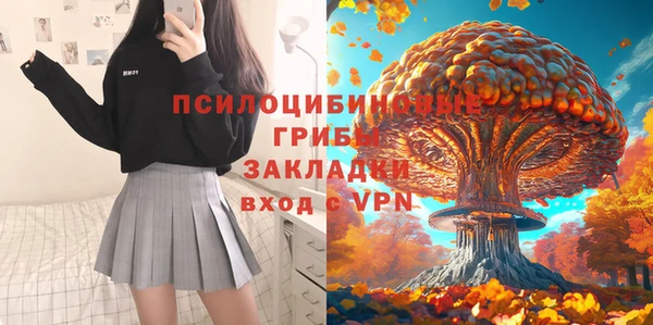индика Гусиноозёрск