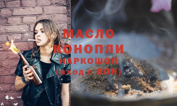 индика Гусиноозёрск
