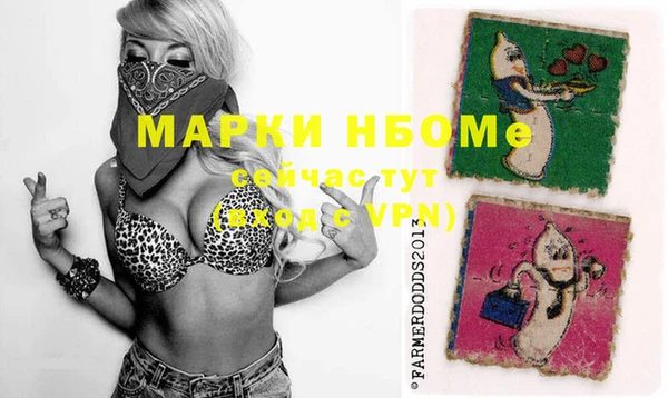 сатива Гусь-Хрустальный