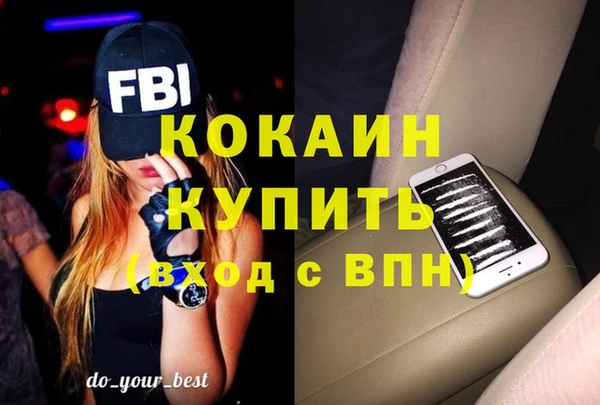 индика Гусиноозёрск