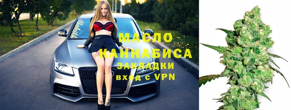 шишки Гусев