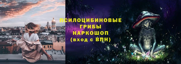 шишки Гусев