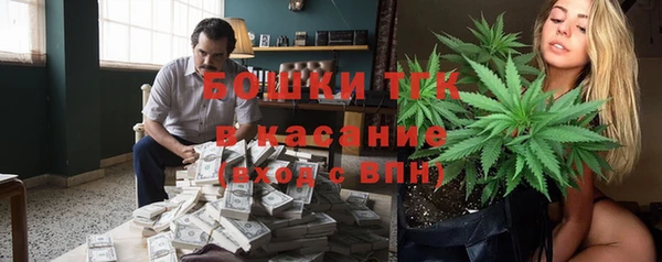 индика Гусиноозёрск
