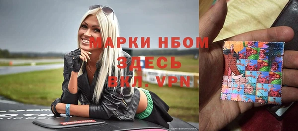 сатива Гусь-Хрустальный