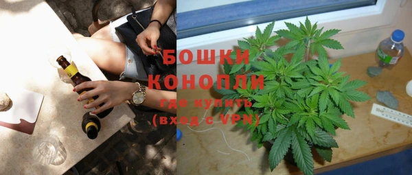 индика Гусиноозёрск