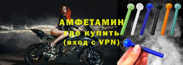 шишки Гусев